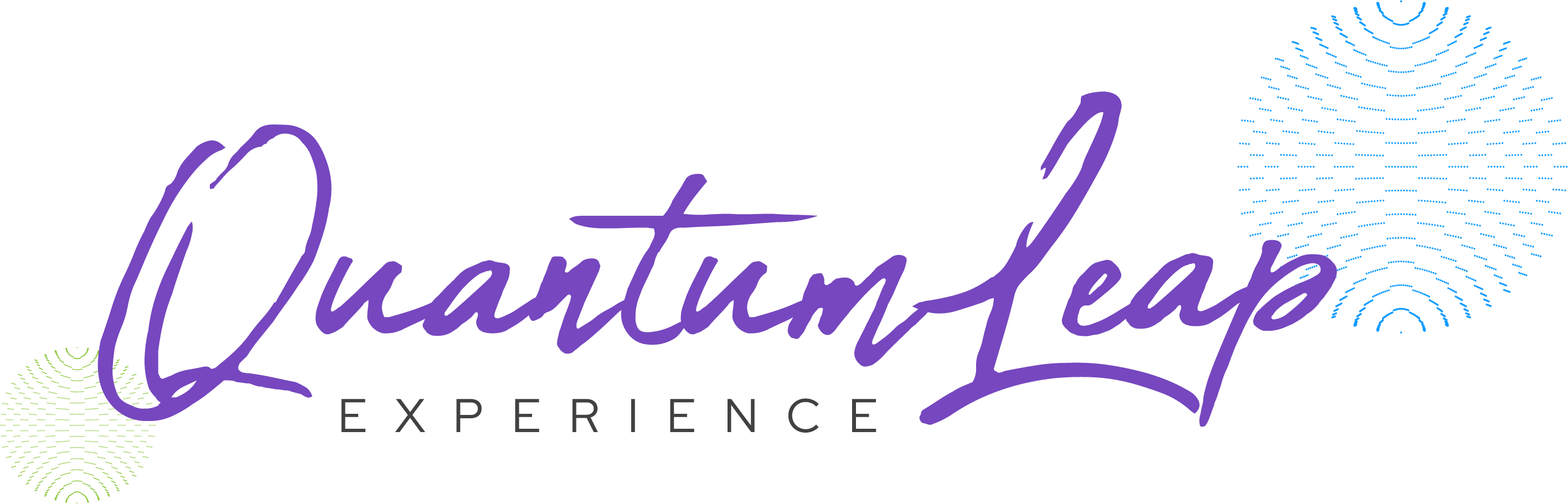QuantumLeap-primary-logo QuantumLeap-primary-logo